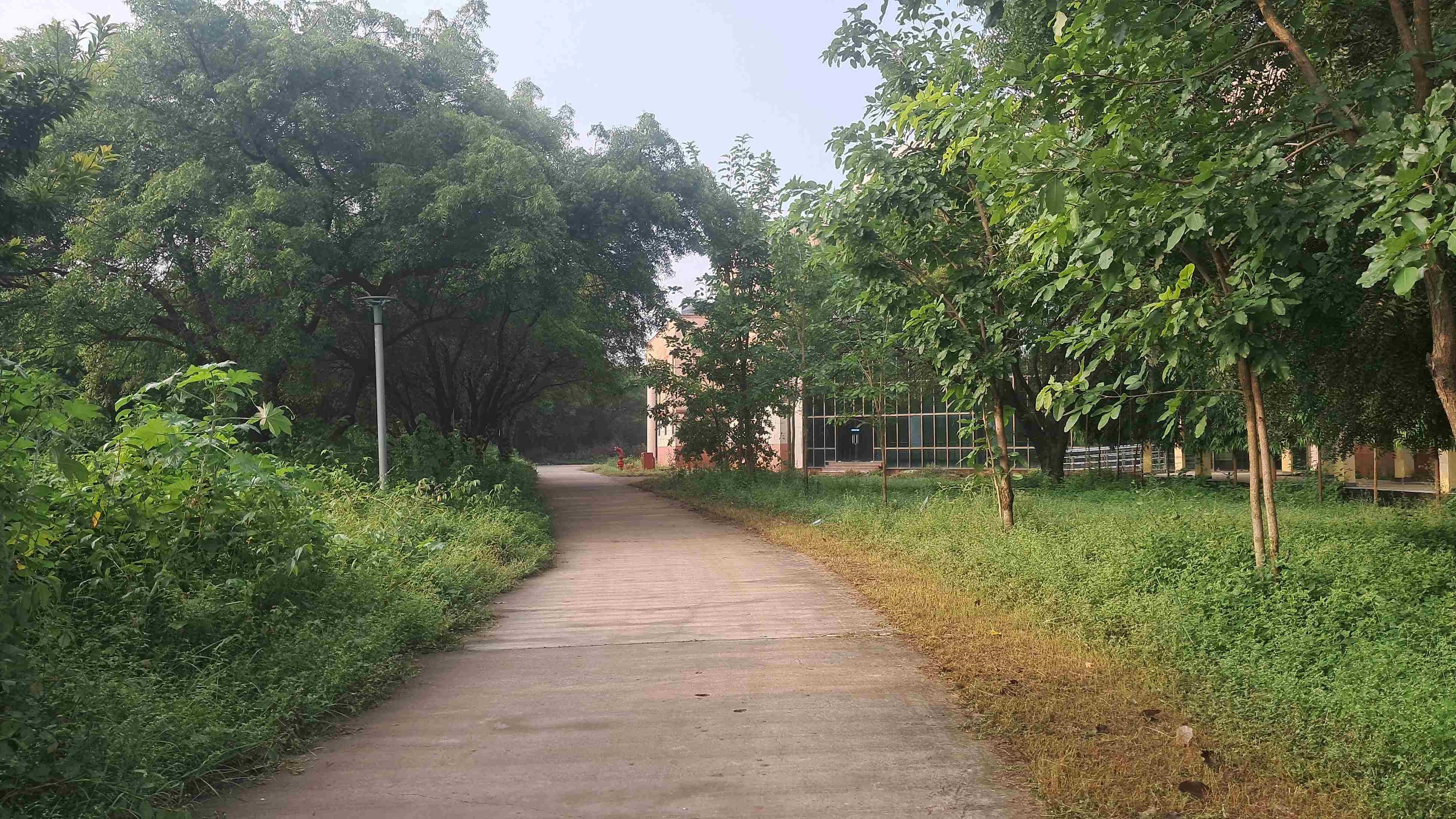 IIITM Gwalior Academic Building photo 22